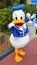 Donald Duck in Disney World