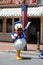 Donald Duck at Disneyland