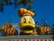 Donald Duck Pumpkin at Disneyland Halloween