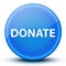 Donate eyeball glossy elegant blue round button abstract