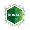 Donate floral plants pattern green hexagon button