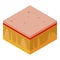 Donate human skin icon, isometric style