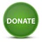 Donate luxurious glossy green round button abstract