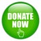 Donate now green glass icon