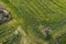 Done aerial image of agriculture field farmland. Harvesting outdoor