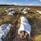 Donegal, Ireland - August 11 2021 : Bags filled with peat fuel lying on the peat bog