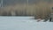 DONETSK, UKRAINE-JANUARY 19: Boy swimming in a ice-hole. Orthodox tradition