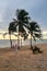 Dongtan Beach Pattaya Jomtien Thailand, palm trees on the beach during sunset