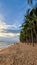 Dongtan Beach Pattaya Jomtien Thailand, palm trees on the beach during sunset