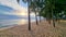 Dongtan Beach Pattaya Jomtien Thailand, palm trees on the beach during sunset