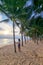 Dongtan Beach Pattaya Jomtien Thailand, palm trees on the beach during sunset