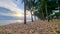 Dongtan Beach Pattaya Jomtien Thailand, palm trees on the beach during sunset