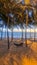 Dongtan Beach Pattaya Jomtien Thailand, palm trees on the beach during sunset