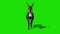 Donkey Animal Walkcycle Green Screen Front Loop 3D Rendering Animation