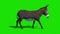 Donkey Animal Walkcycle Green Screen Side Loop 3D Rendering Animation