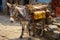 Donkey with baggage and saddle for transportation purposes in a rustic setting