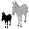 Donkey black silhouette realistic gray