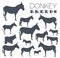 Donkey breeds icon set. Animal farming. Flat design