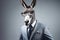 donkey in business suit on gray background, an anthropomorphic, animal character. Businessman