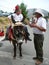 Donkey carrying two children