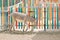 Donkey in a children touching zoo or a mini farm with colorful bright fence. The concept of caring for animals since childhood