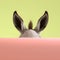 Donkey ears peeking over pastel bright background. advertisement, banner, card. copy text space. Generative AI