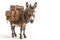 donkey equipped with a seat and luggage isolated.Generative AI