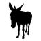 Donkey Equus Asinus Silhouette Vector Found In Africa And Asian