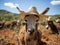 Donkey farmer with toy animals