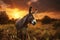 Donkey field sunset. Generate Ai