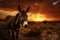 Donkey field sunset. Generate Ai