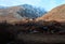 Donkey grazing in the mountains