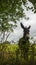 Donkey in green field on cloudy day. Lonely donkey at countyside. Farm concept. Animals concept. Pasture background.