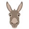 Donkey head face vector style Flat