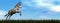 Donkey jumping - 3D render