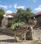 Donkey loaded with fire wood and branches in mountain village , Bulgaria, Europe