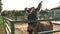 The donkey looks in the face and stands in a stall against the sky of the farm, filmed in the afternoon