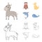 Donkey, owl, kangaroo, shark.Animal set collection icons in cartoon,outline style vector symbol stock illustration web.
