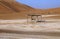 Donkey resting in the dunes of Liwa oasis, United Arab Emirates