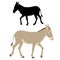 Donkey silhouette vector illustration flat style profile