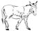 Donkey sketch monochrome vector graphics