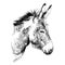 Donkey sketch vector graphics