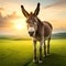 Donkey standing on grass in a farm or pasture landscape view.