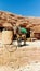 Donkey standing and having a rest. Bedouins and their animals in Petra reserve. Transport in Petra. Tourist route in ancient city