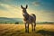 Donkey standing in a meadow in the morning light, nature background