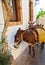 Donkey Taxi in the narrow streets of the old town of Lindos on Greek Rhodes Island