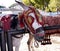 Donkey Taxis in Mijas one of the most beautiful \'white\' villages