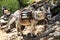 Donkey transportation in Cretan mountains