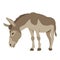 Donkey vector illustration Flat