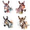 donkey watercolor illustration set